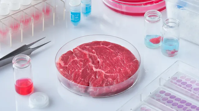 Lab-grown meat